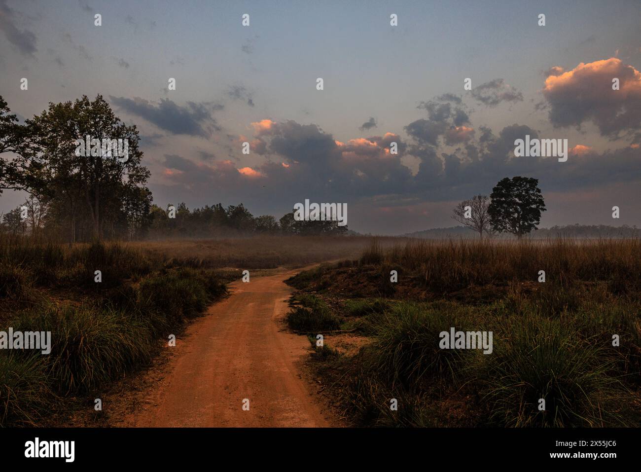 una strada di sabbia rossa conduce nel paesaggio della riserva delle tigri di kanha all'alba con bassa nebbia sul prato e nuvole illuminate dal sole Foto Stock