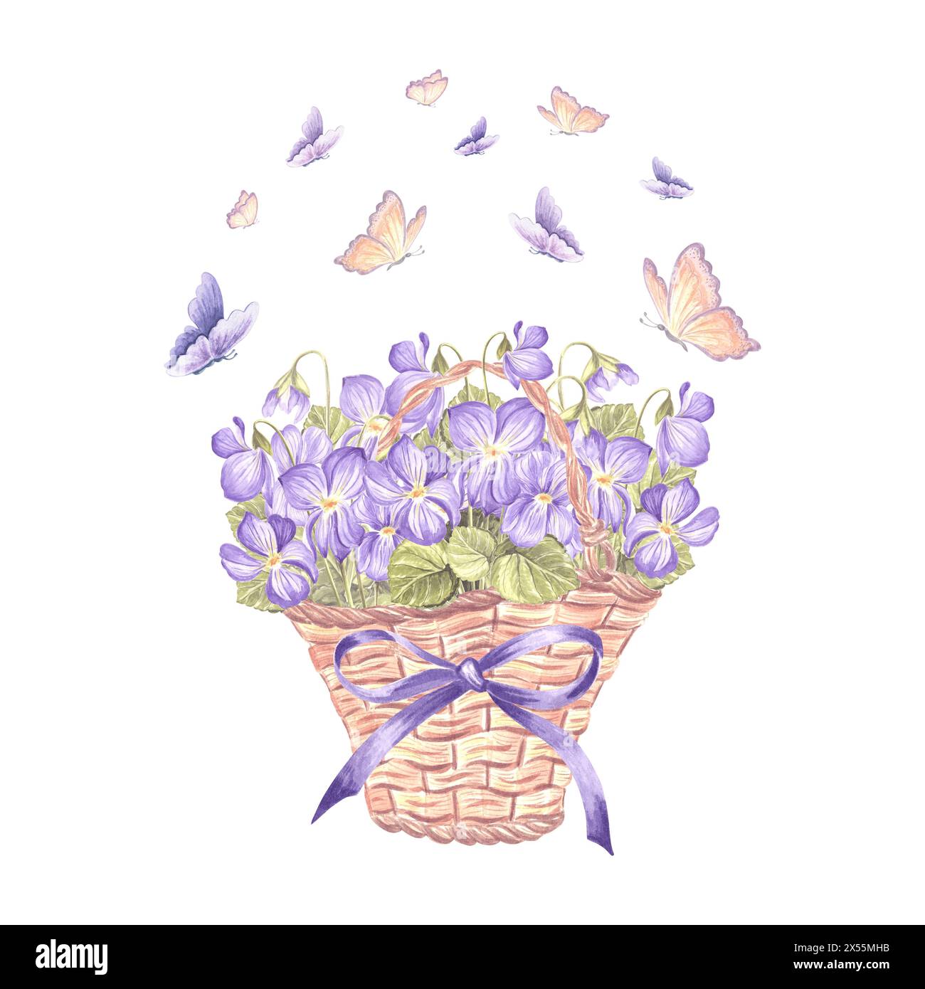 Violette e farfalle selvatiche in cesto di vimini con fiocco e fiocchi. Illustrazione dell'acquerello della molla. Bouquet di pansy disegnato a mano isolato. Disegno vintage Foto Stock