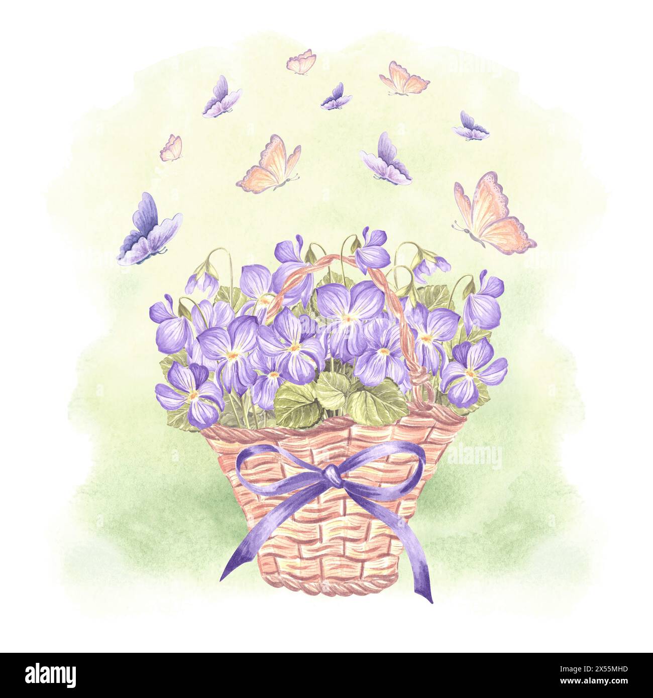 Violette e farfalle selvatiche in cesto di vimini con fiocco e fiocchi. Illustrazione dell'acquerello della molla. Bouquet di pansy disegnato a mano isolato. Disegno vintage Foto Stock