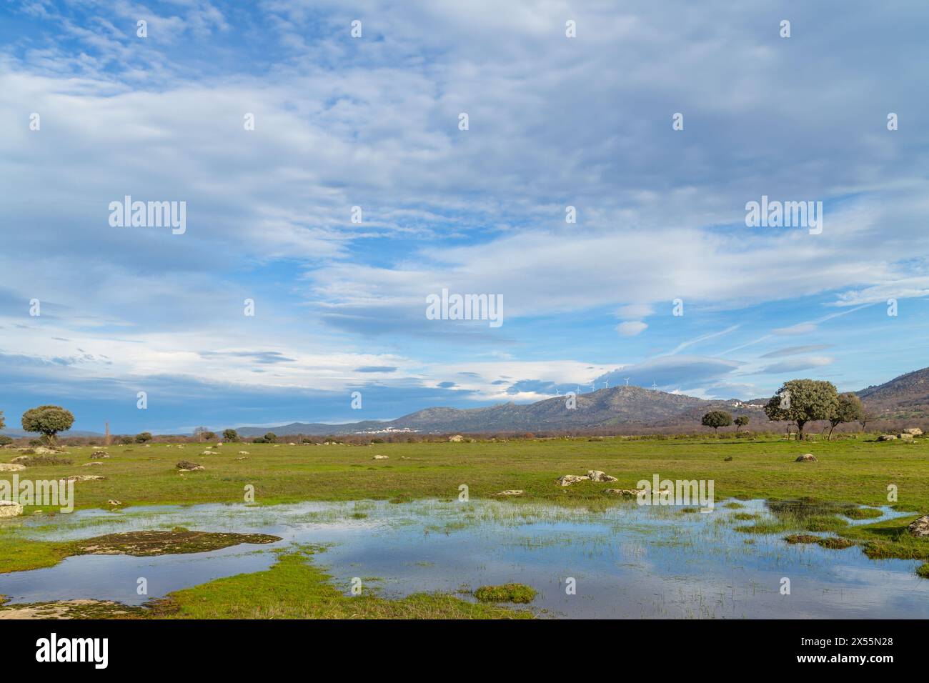 Paesaggio con alberi riflessa nell'acqua vicino a Arroyo de la Luz. Extremadura. Spagna. Foto Stock