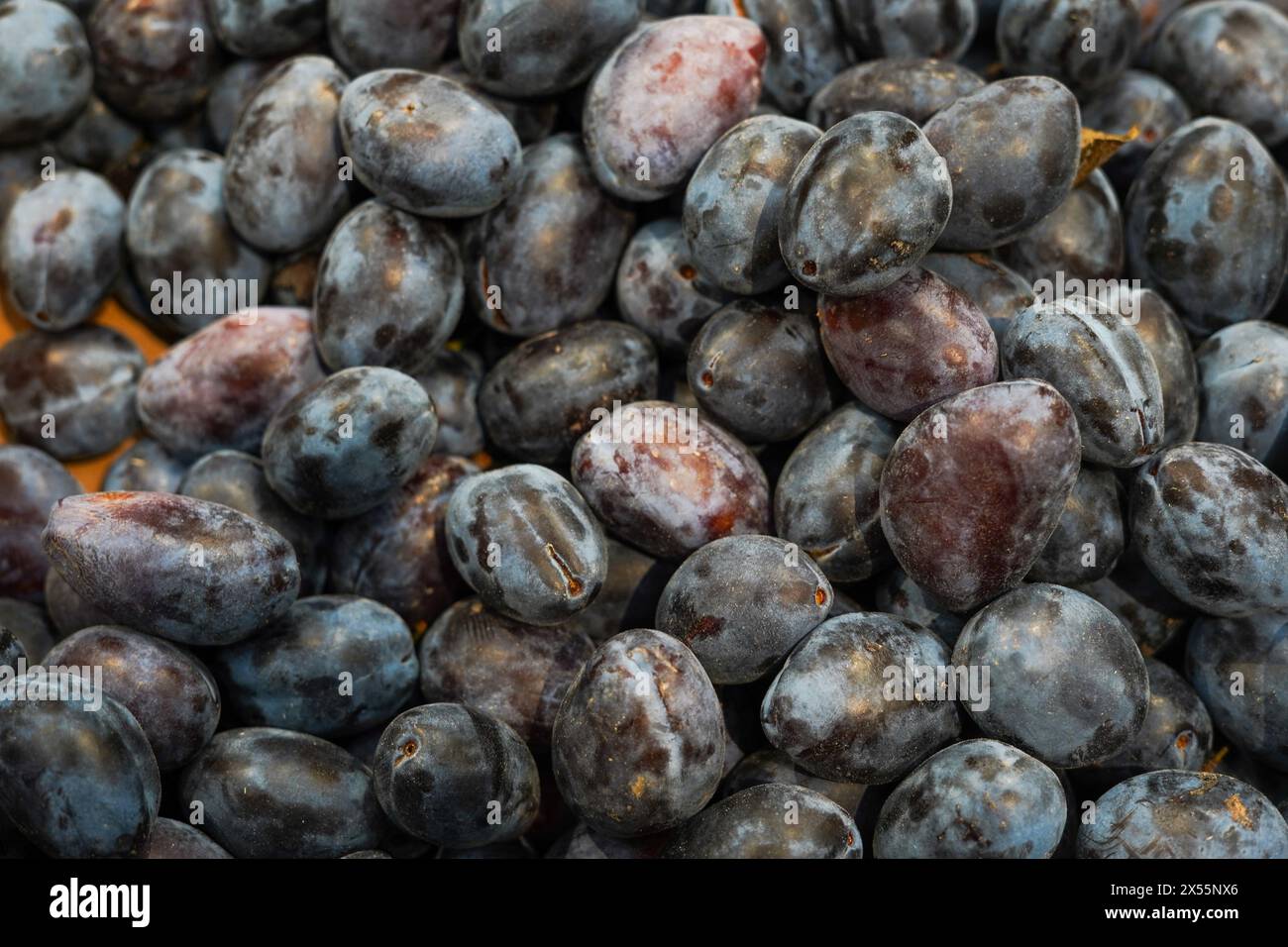 Prugne fondo di frutta, consistenza, prugne nella scatola nel mercato della spesa Foto Stock