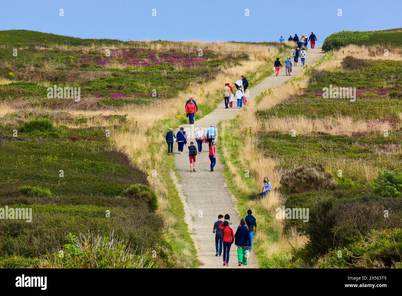 Pointe du Raz, Cap Sizun, Plogoff, Bretagne, Bretagna Francia Foto Stock