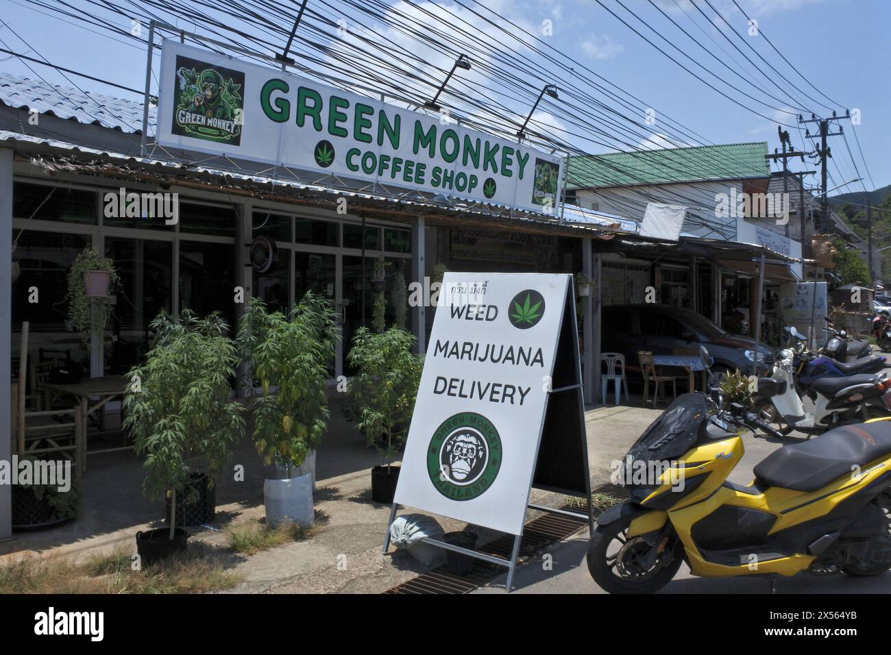 Thailandia. 28 aprile 2024. Una vista generale dell'outlet di marijuana Green Monkey che offre servizio di consegna a domicilio. Sull'isola tailandese di Koh Chang sono stati aperti diversi negozi di cannabis da quando il Regno di Thailandia ha decriminalizzato la marijuana per uso medico e personale, il 9 giugno 2022 la marihuana è stata rimossa dalla categoria dei narcotici rendendo legale la vendita e l'acquisto dell'erba. (Foto di Paul Lakatos/SOPA Images/Sipa USA) credito: SIPA USA/Alamy Live News Foto Stock