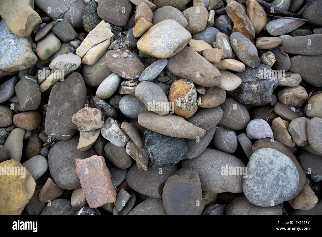 Fondo in ghiaia da costruzione per un uso versatile Foto Stock