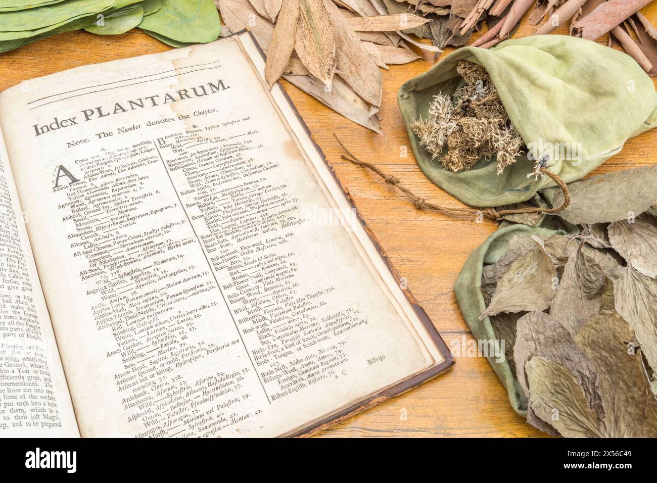 Laboratorio di apoteca / scena di erboristeria, con Botanologia di William Salmon aperta alla pagina Indice. Per rimedi erboristici e cure domestiche. Foto Stock