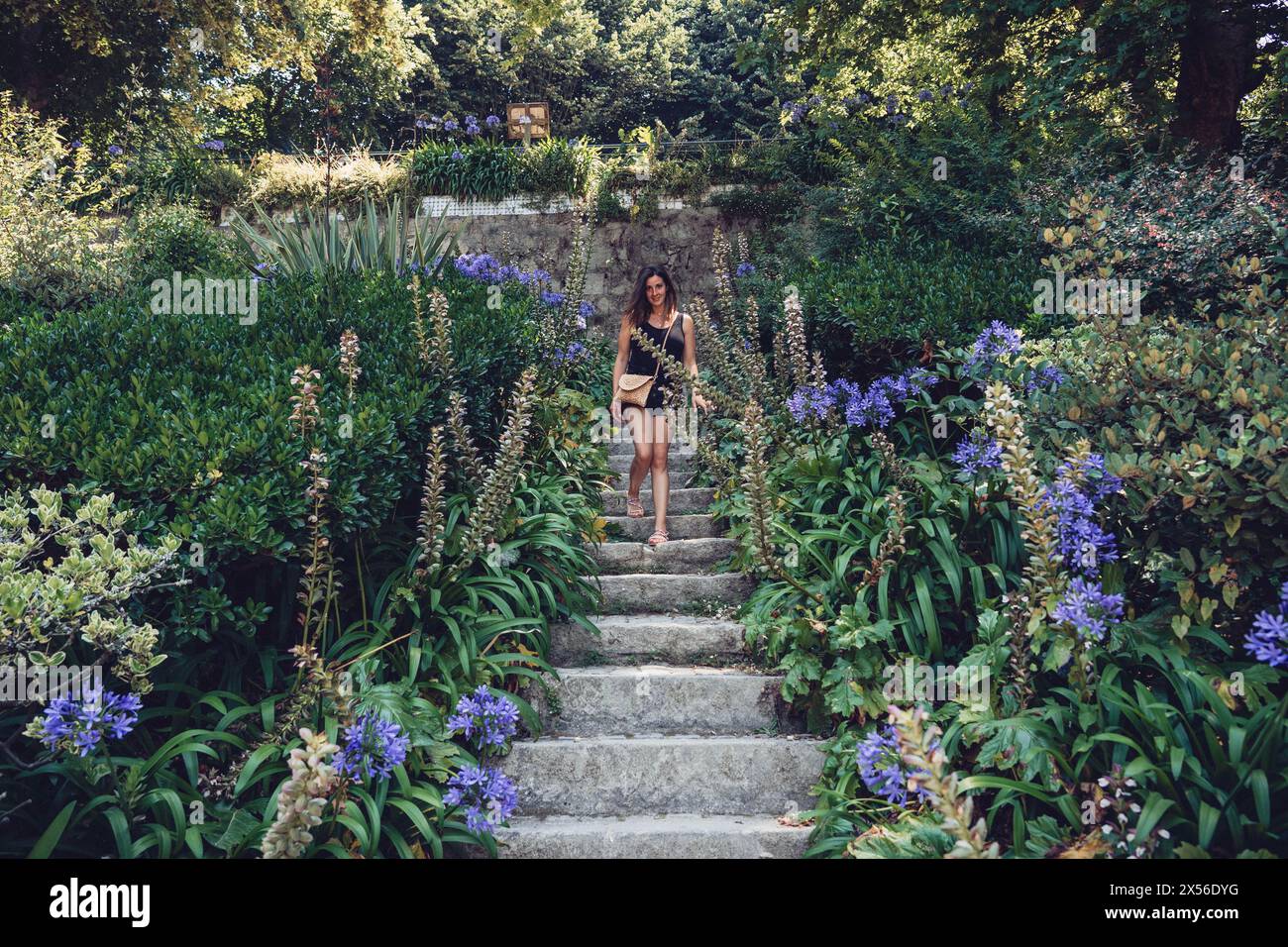 Bellissimi fiori di agapanthus africanus accanto ad una scalinata in pietra nei giardini del Palazzo di cristallo Jardins do Palacio de Cristal. Foto Stock