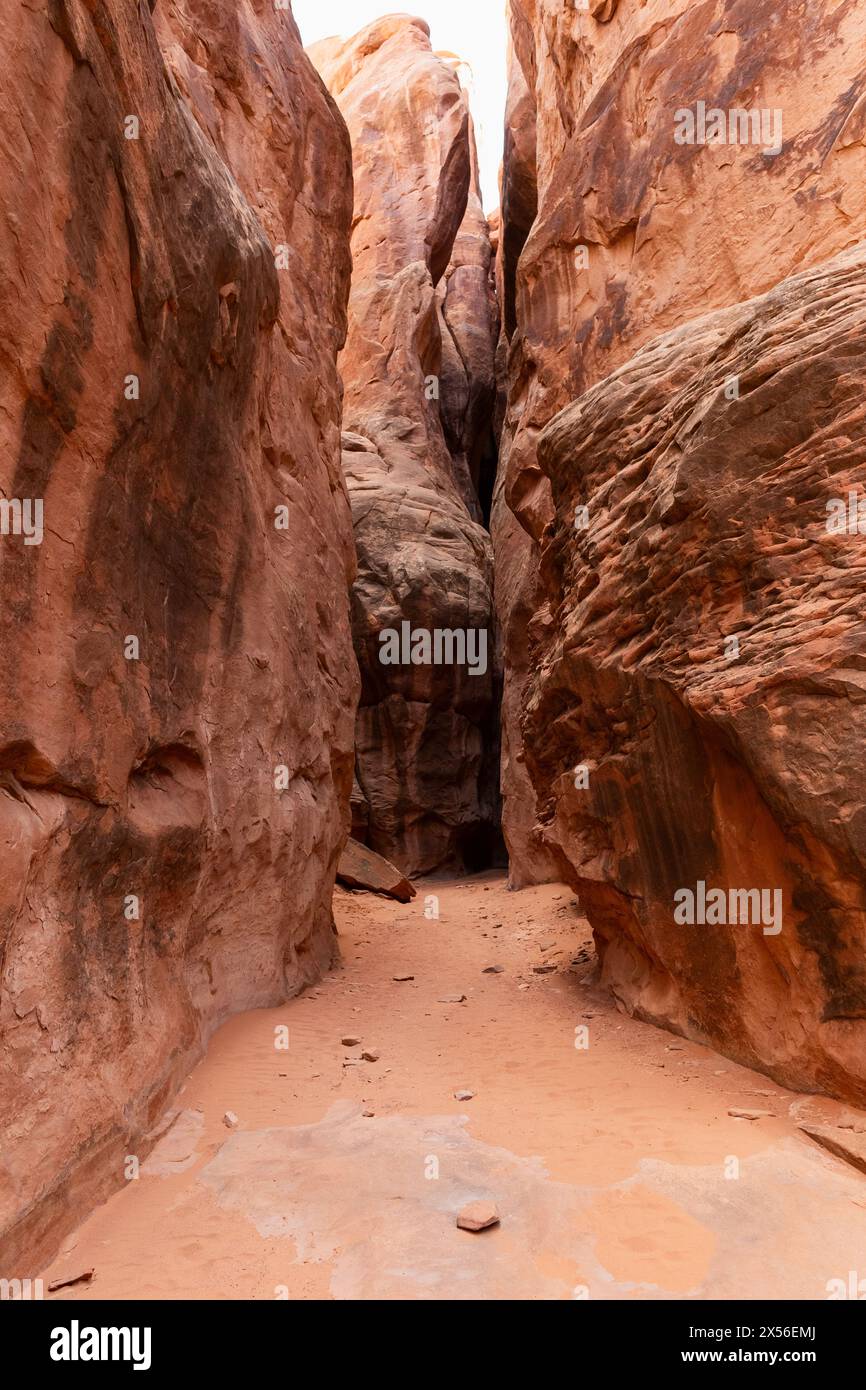 Stretto Sandstone Desert Rock Canyon con pareti ripide nel Fiery Furnace Hiking Trail, Arches National Park, Utah, Stati Uniti Foto Stock