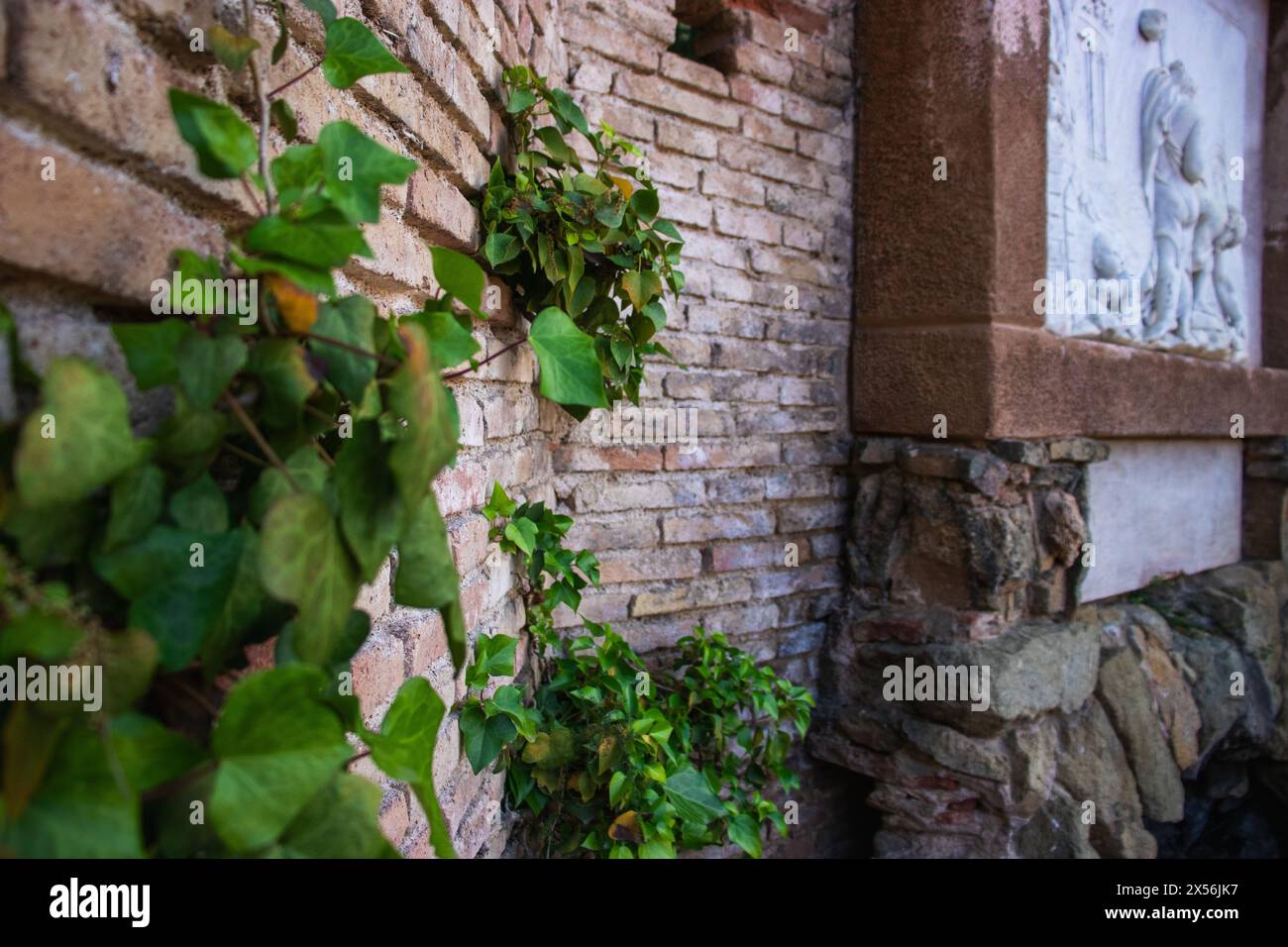 Giardino storico neoclassico Parc del Laberint d'Horta, Barcellona, Spagna, sostenibilità, conservazione dell'ambiente, tutela della biodiversità Foto Stock