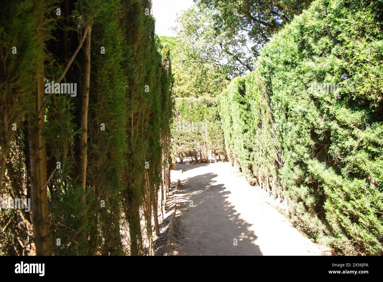 Giardino storico neoclassico Parc del Laberint d'Horta, Barcellona, Spagna, sostenibilità, conservazione dell'ambiente, tutela della biodiversità Foto Stock