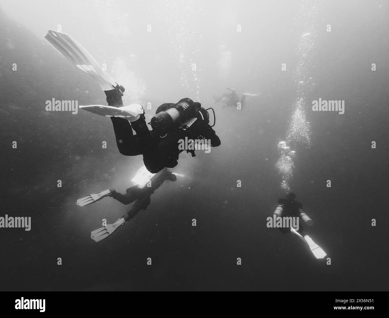 Immersioni subacquee immersioni subacquee al lago Attersee a Hinkelsteine in bianco e nero monocromatico Foto Stock