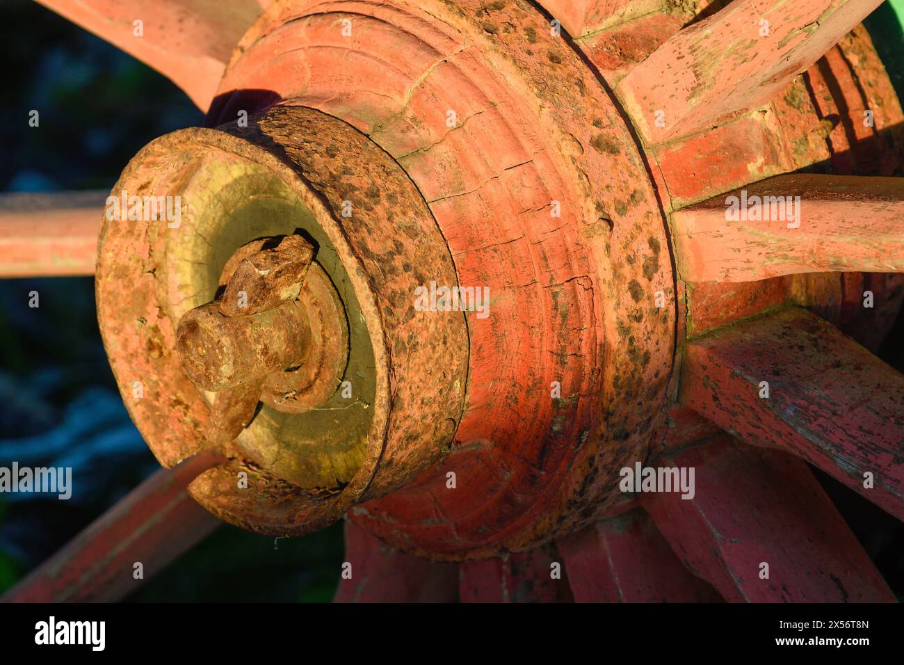 Dettaglio di una ruota del carrello in legno Foto Stock