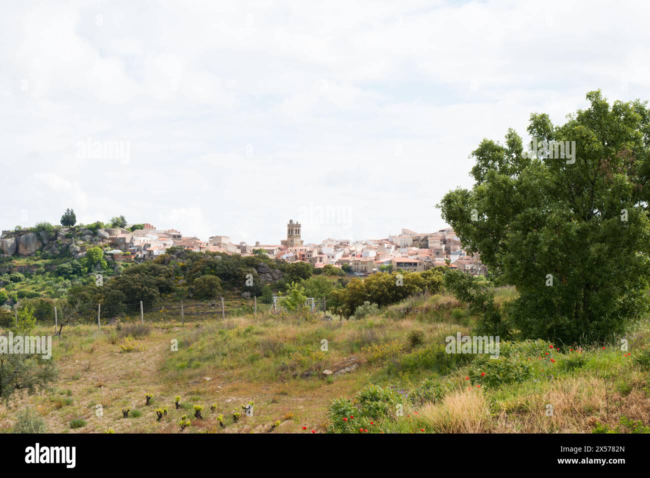 Vista di Fermoselle da lontano. Zamora, Spagna. Nelle vicinanze si trova il più grande parco naturale di Castiglia e León, il Parco naturale Arribes del Duero, a Foto Stock