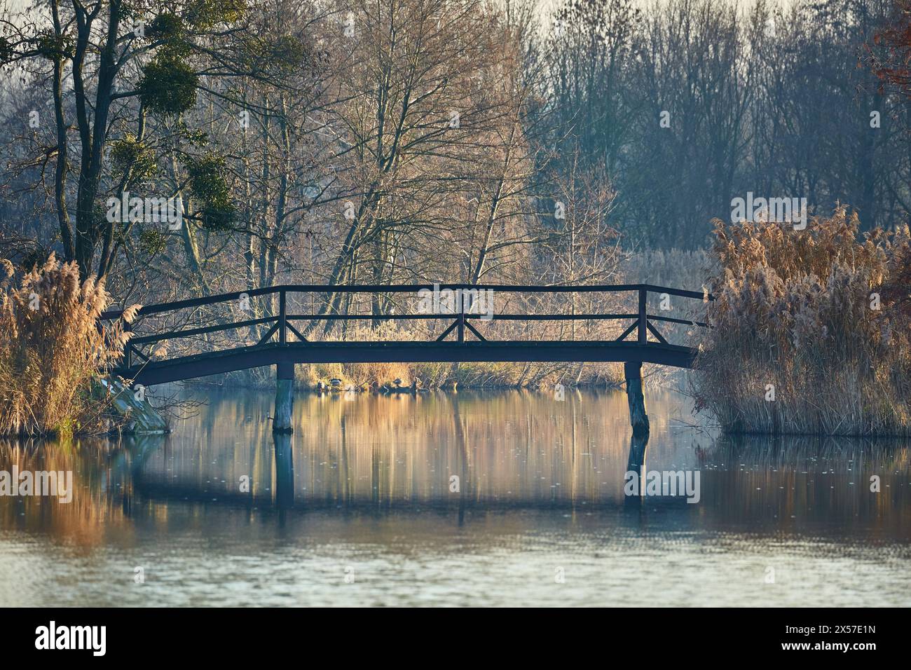 Superficie d'acqua con alberi e ponte nel parco Foto Stock