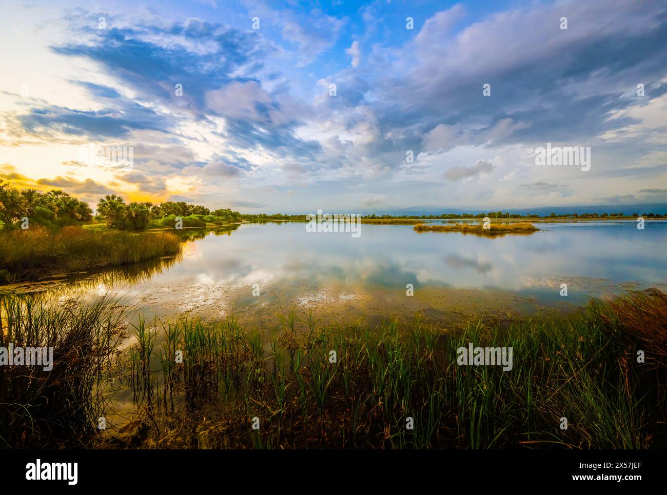 'Tranquil Oasis: La piscina del faro di acqua dolce presso la riserva naturale St. Marks, sotto una tettoia di cieli nuvolosi, circondata da erbe lussureggianti, offre un servizio di ristorazione Foto Stock