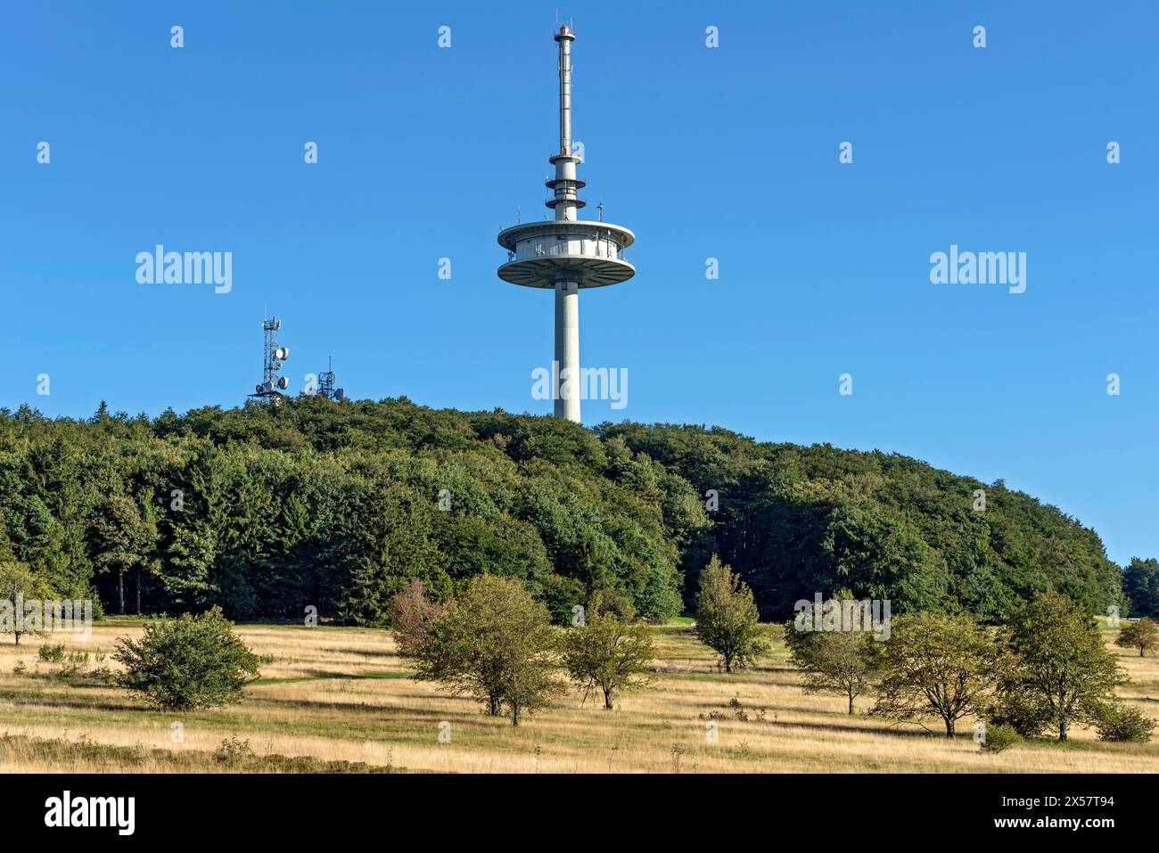 Telekom Telecom tower, torre di trasmissione, foresta, prati secchi, cima Hoherodskopf, destinazione dell'escursione, Schotten, Vogelsberg Foto Stock