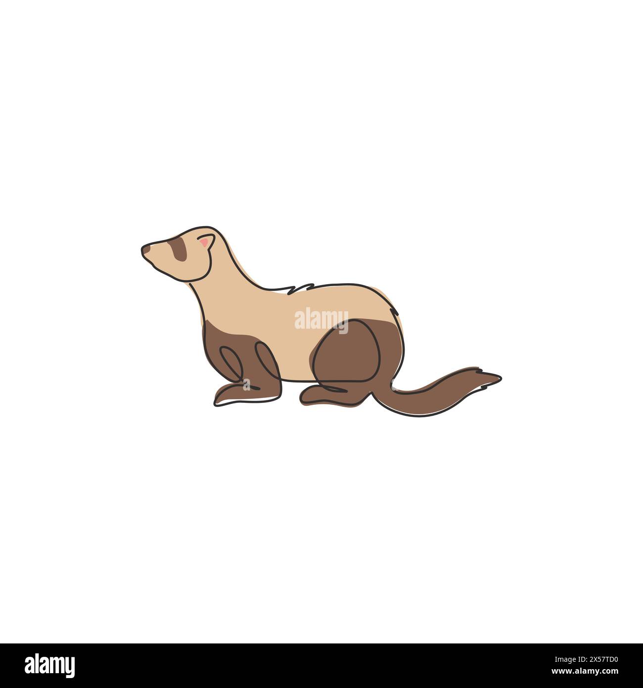 Un disegno continuo di adorabile furetto per l'identità del logo aziendale. Il concetto di mascotte dei predatori sessualmente dimorfici per l'icona del club degli amanti degli animali. Moderno Illustrazione Vettoriale