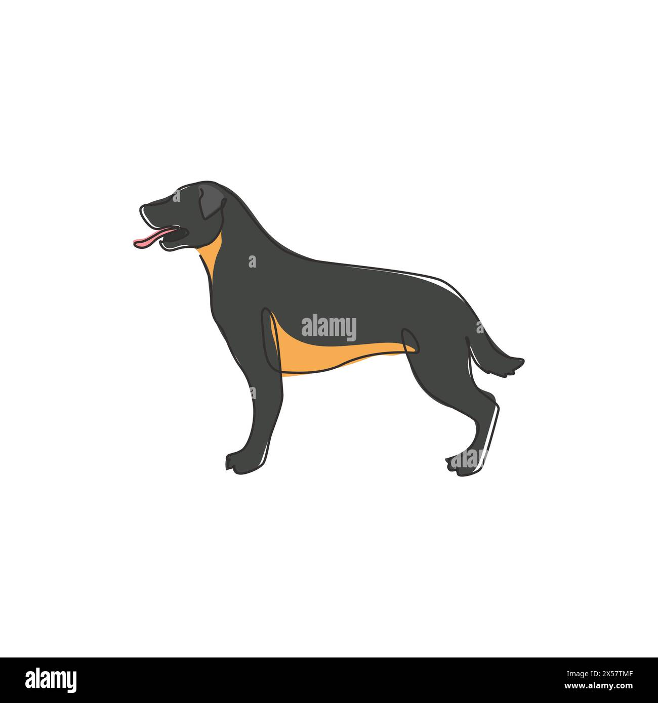 Un disegno continuo di un cane rottweiler feroce per l'identità del logo aziendale di sicurezza. Mascotte per cani di razza pura per un'icona che ammette animali domestici. M Illustrazione Vettoriale