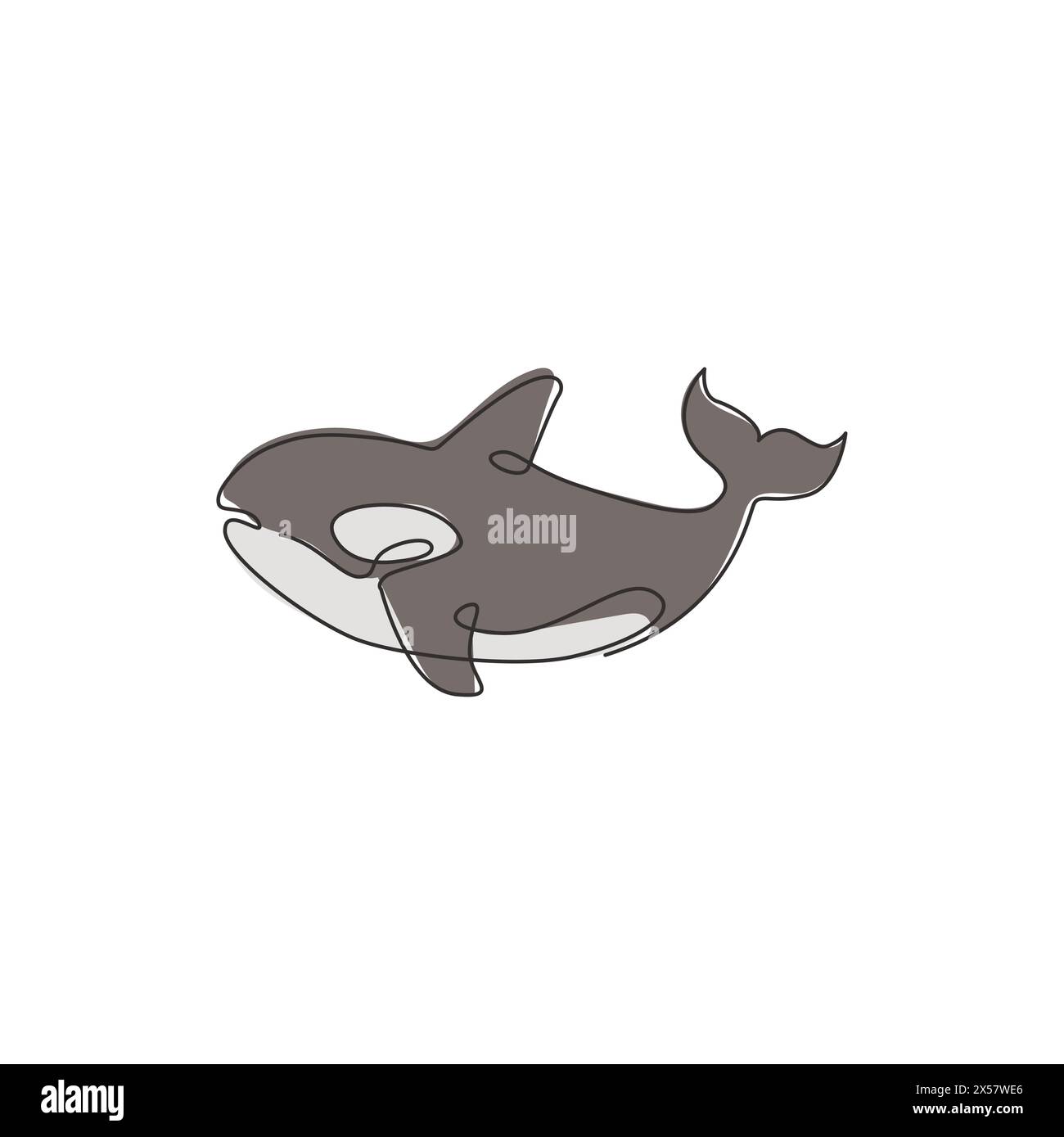 Un disegno a linea continua di graziose orche per l'identità del logo marino. Il concetto di mascotte di balena assassina per l'icona della mostra mondiale del mare. Design moderno a linea singola Illustrazione Vettoriale Un disegno a linea continua di graziose orche per l'identità del logo marino. Il concetto di mascotte di balena assassina per l'icona della mostra mondiale del mare. Design moderno a linea singola Illustrazione Vettoriale