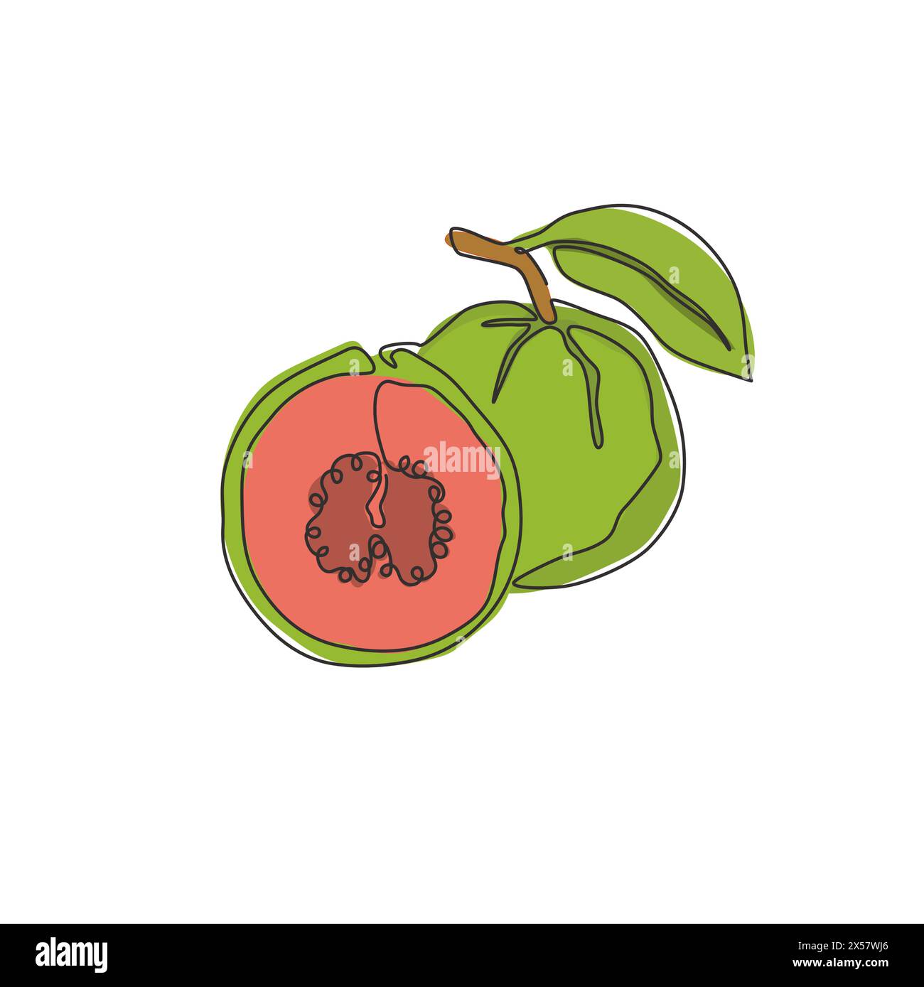 Linea singola continua disegnando guava java organica intere e a metà fette per l'identità del logo del frutteto. Concetto di frutta fresca per l'icona del giardino. Moderno Illustrazione Vettoriale
