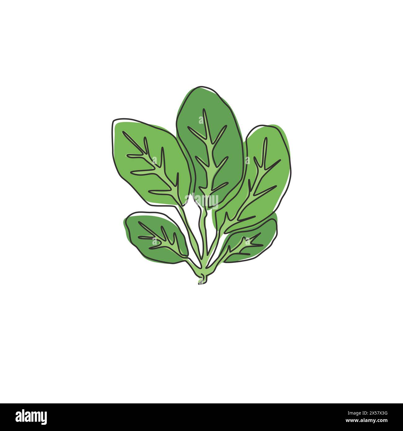 Singola linea continua disegno di foglie di spinaci verdi biologici integrali per l'identità del logo dell'azienda agricola. Il concetto di fioritura verde e fresca per pianta ico Illustrazione Vettoriale