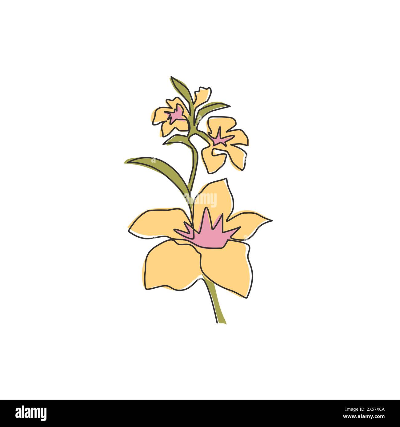 Linea singola continua che disegna la bellezza dell'orchidea fresca per l'arte dell'arredamento della casa a parete. Cartolina d'invito stampabile per la diserbatura dei fiori delle orchidaceae. Illustrazione Vettoriale