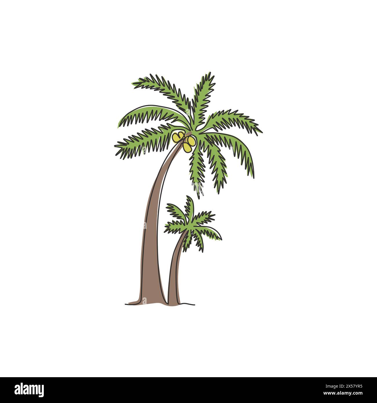 Disegno di una sola linea dell'albero di cocco. Cocos nucifera decorativo, concetto famiglia di palme da spiaggia per saluto cartolina estiva. Moderno continentale Illustrazione Vettoriale