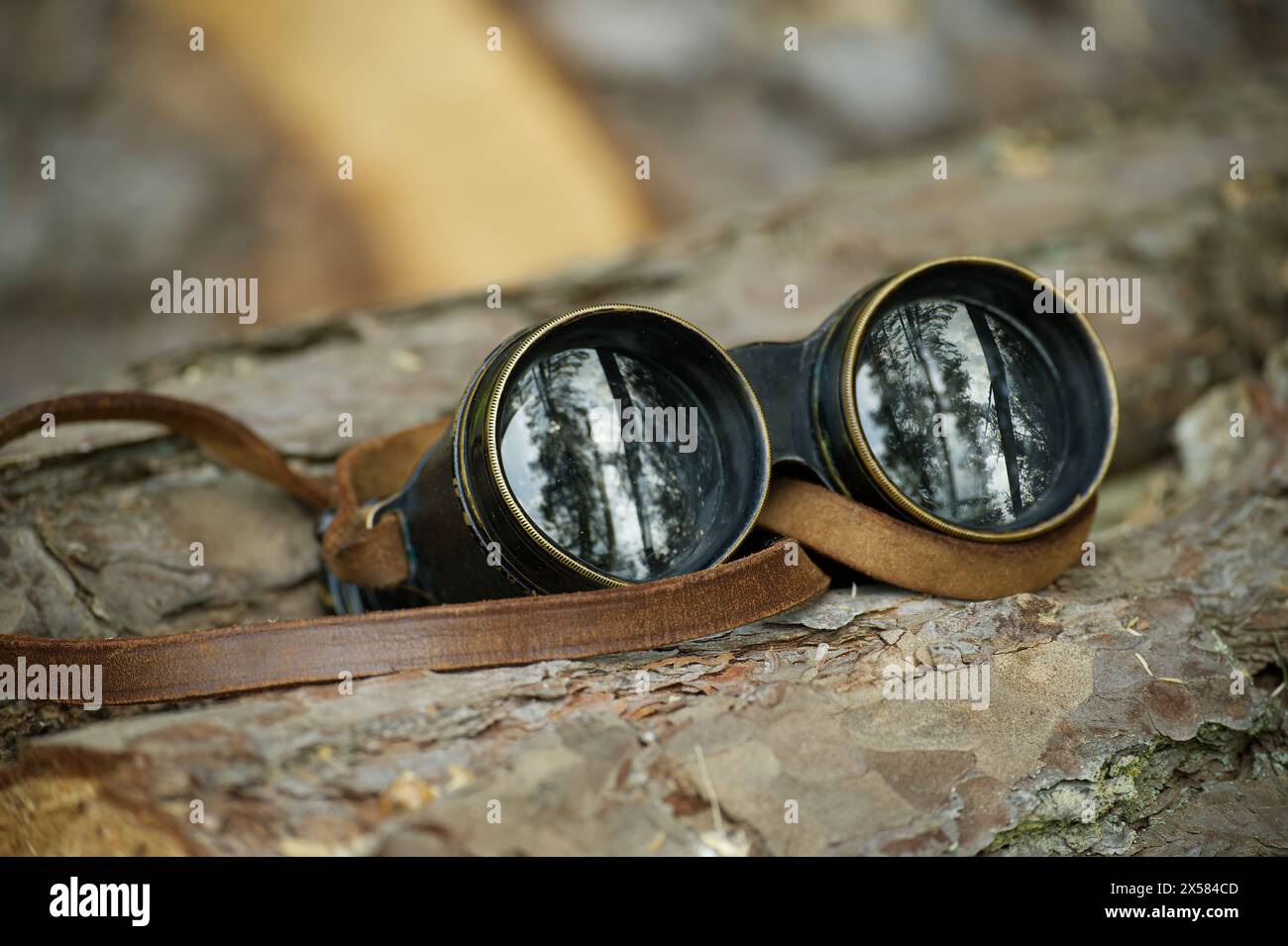 Binocolo con cinturino marrone in pelle poggia su un grande ceppo di albero marrone, le lenti del binocolo riflettono l'immagine degli alberi Foto Stock