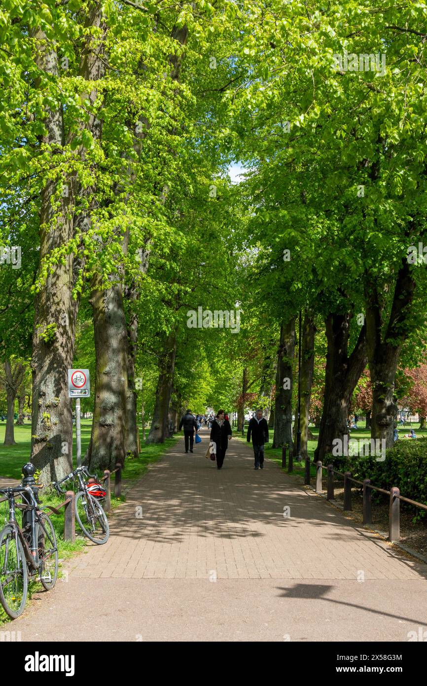 Persone che camminano su un sentiero alberato in pezzi di Cristo, un parco con vegetazione lussureggiante e biciclette parcheggiate lateralmente. Cambridge, Inghilterra, Regno Unito Foto Stock