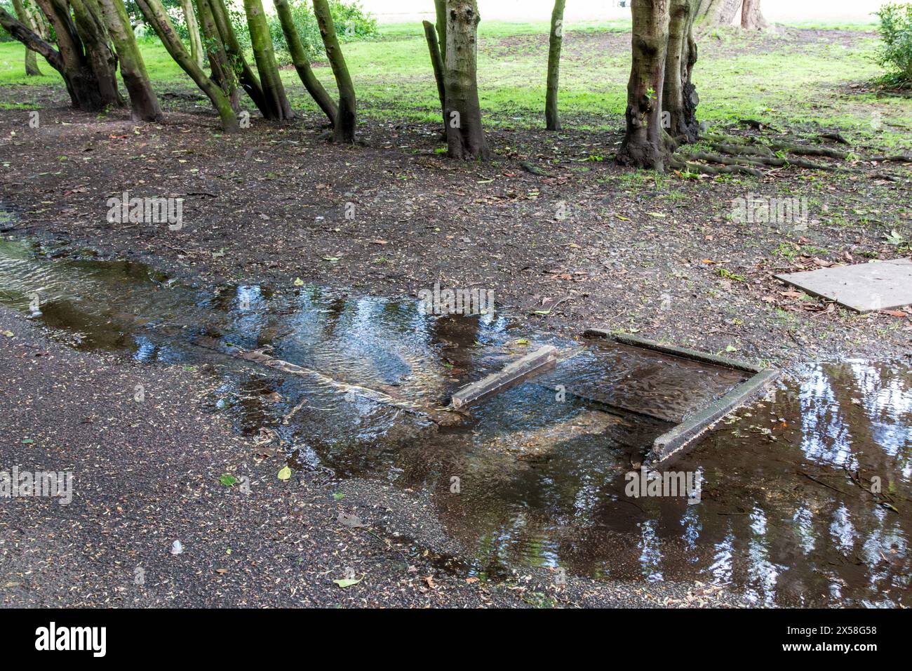 Perdite d'acqua da sotto un coperchio di scarico su Christ's Pieces, Cambridge, Inghilterra, Regno Unito. La compagnia idrica locale è Cambridge Water. Foto Stock