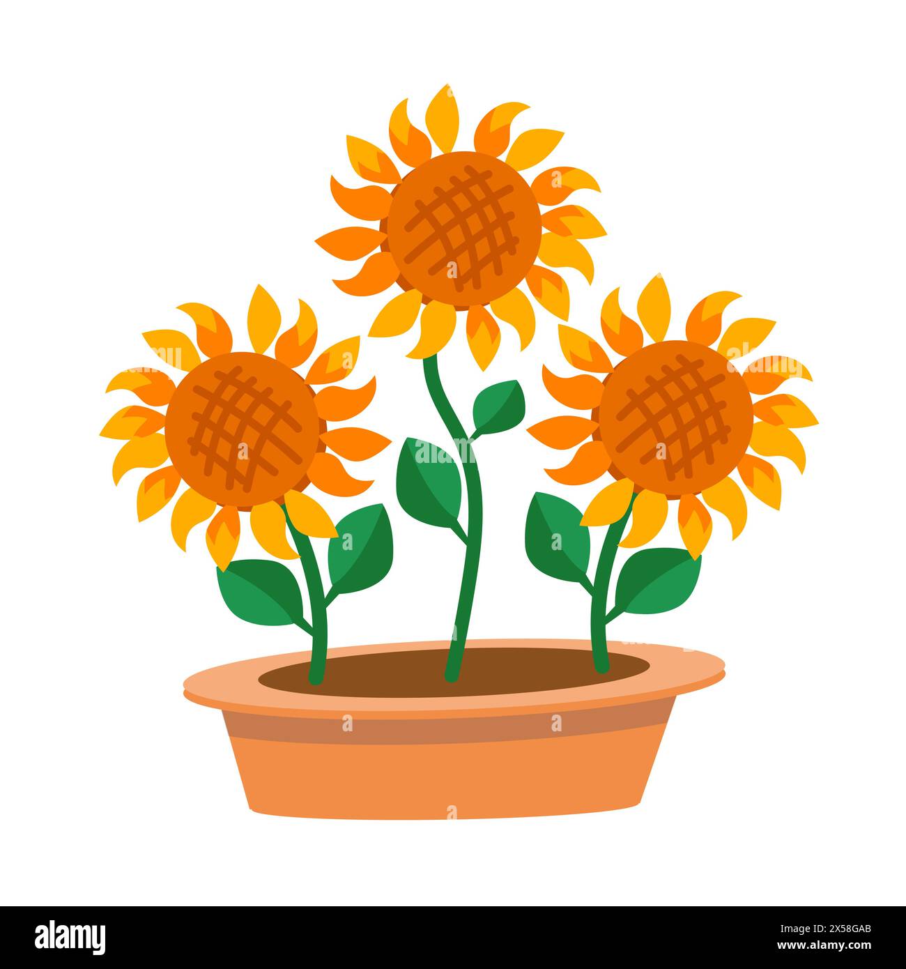 Girasoli in vaso di fiori. Illustrazione vettoriale isolata. Illustrazione Vettoriale