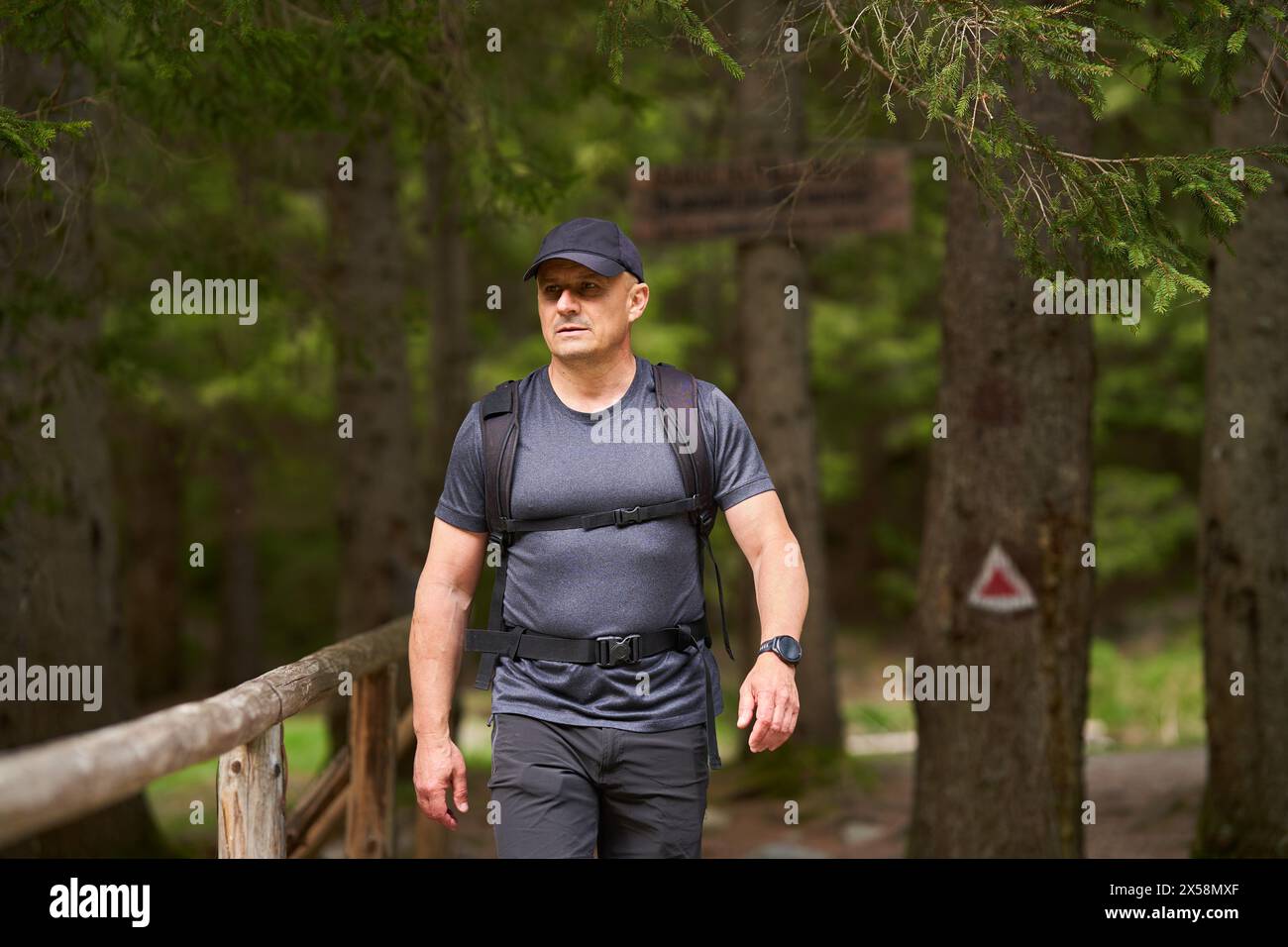 Escursionista con zaino che attraversa un ponte di legno su un sentiero in montagna all'inizio dell'estate Foto Stock
