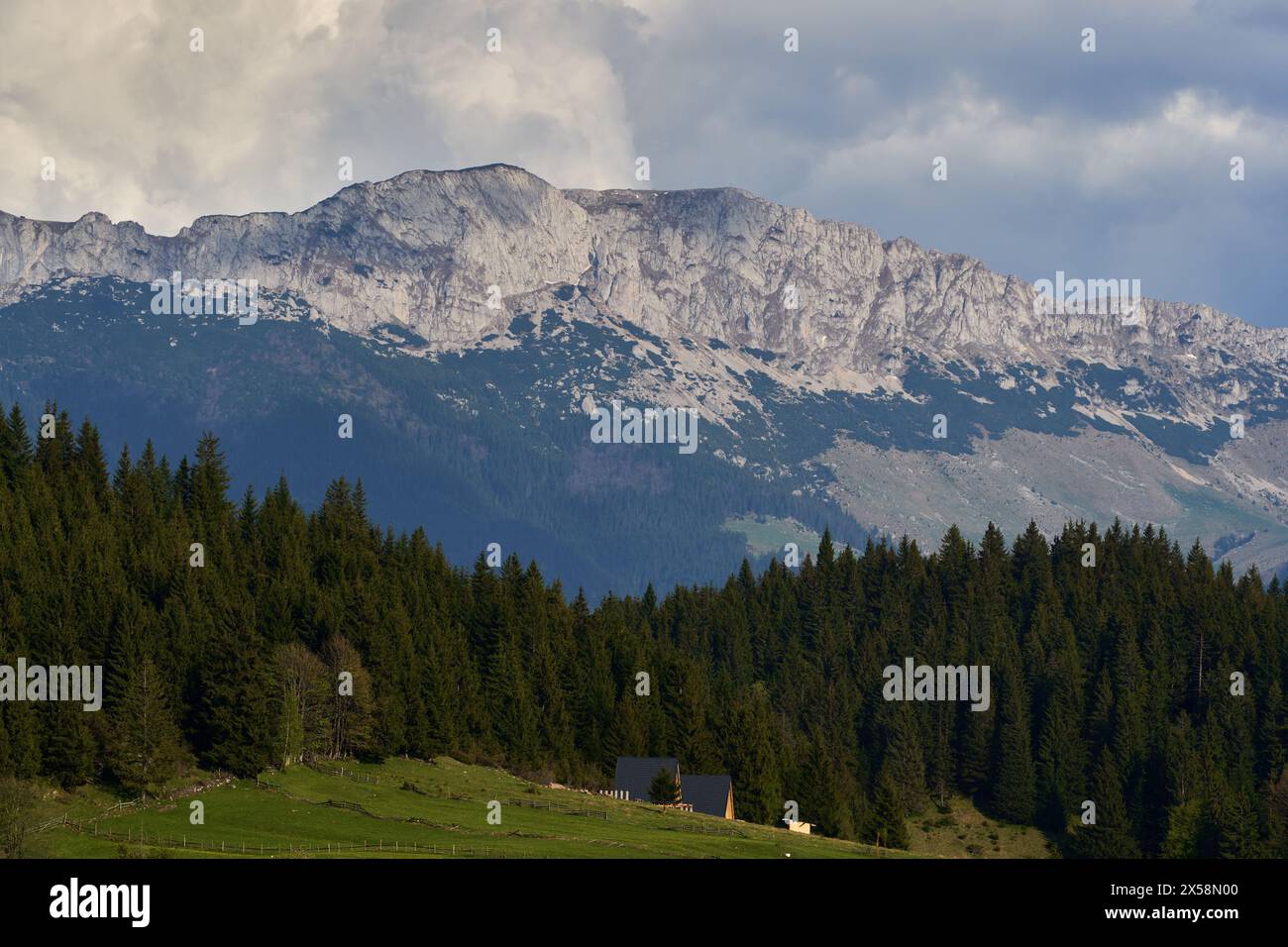 Paesaggio con montagne rocciose e foreste di pini e abeti Foto Stock