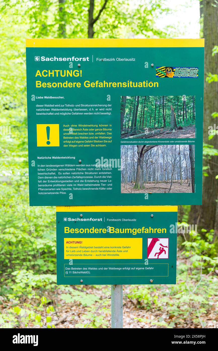 Großes Hinweisschild am Waldrand auf besondere Gefahren durch Baumbruch im Waldgebiet, hier im Naturschutzgebiet Lausker Skala, Weißenberg, Sachsen, D Foto Stock