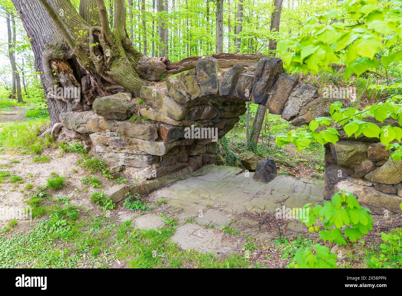 Teufels-Steinbogen in der Lausker Skala, Lauske, Weißenberg, Sachsen, Deutschland *** Devils Arch in the Lausker Skala, Lauske, Weißenberg, Saxo Foto Stock