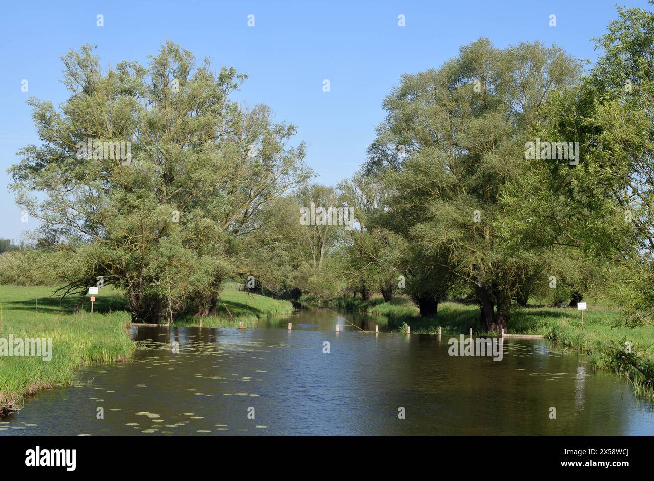 02.05.2024 Wendland Deutschland/ Niedersachsen/ Wendland/ Biosphärenreservat Niedersächsische Elbtalaue/ an der Seege am Wehr zwischen Gartow und Restorf/ Flußlandschaft *** 02 05 2024 Wendland Germania bassa Sassonia riserva della biosfera Wendland Niedersächsische Elbtalaue al Seege am Wehr tra Gartow e Restorf Flußlandschaft Foto Stock