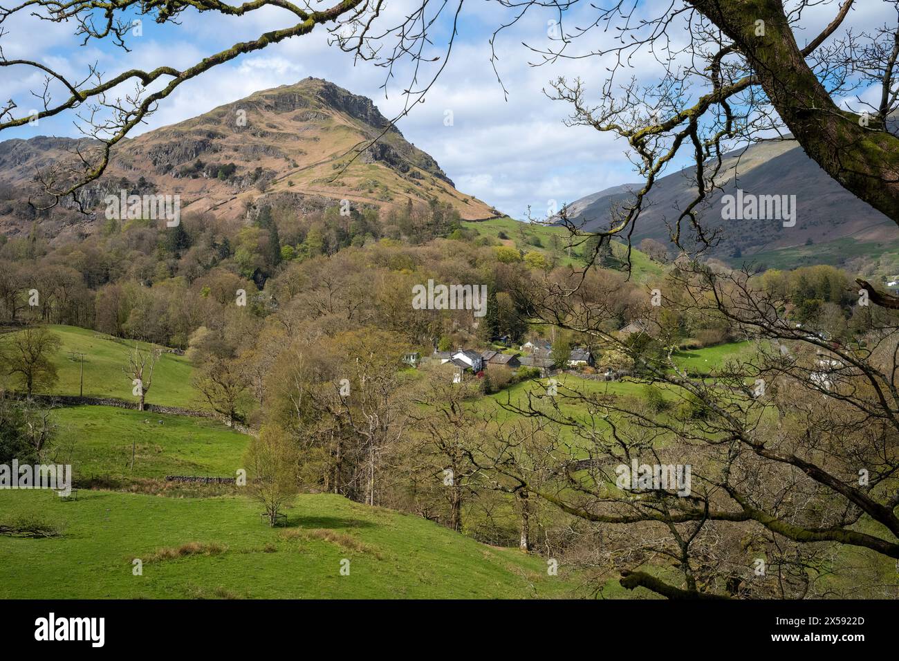 Helm Crag vista dalla Allan Bank al Silver Howe Trail, Grasmere, Lake District, Cumbria, Regno Unito Foto Stock