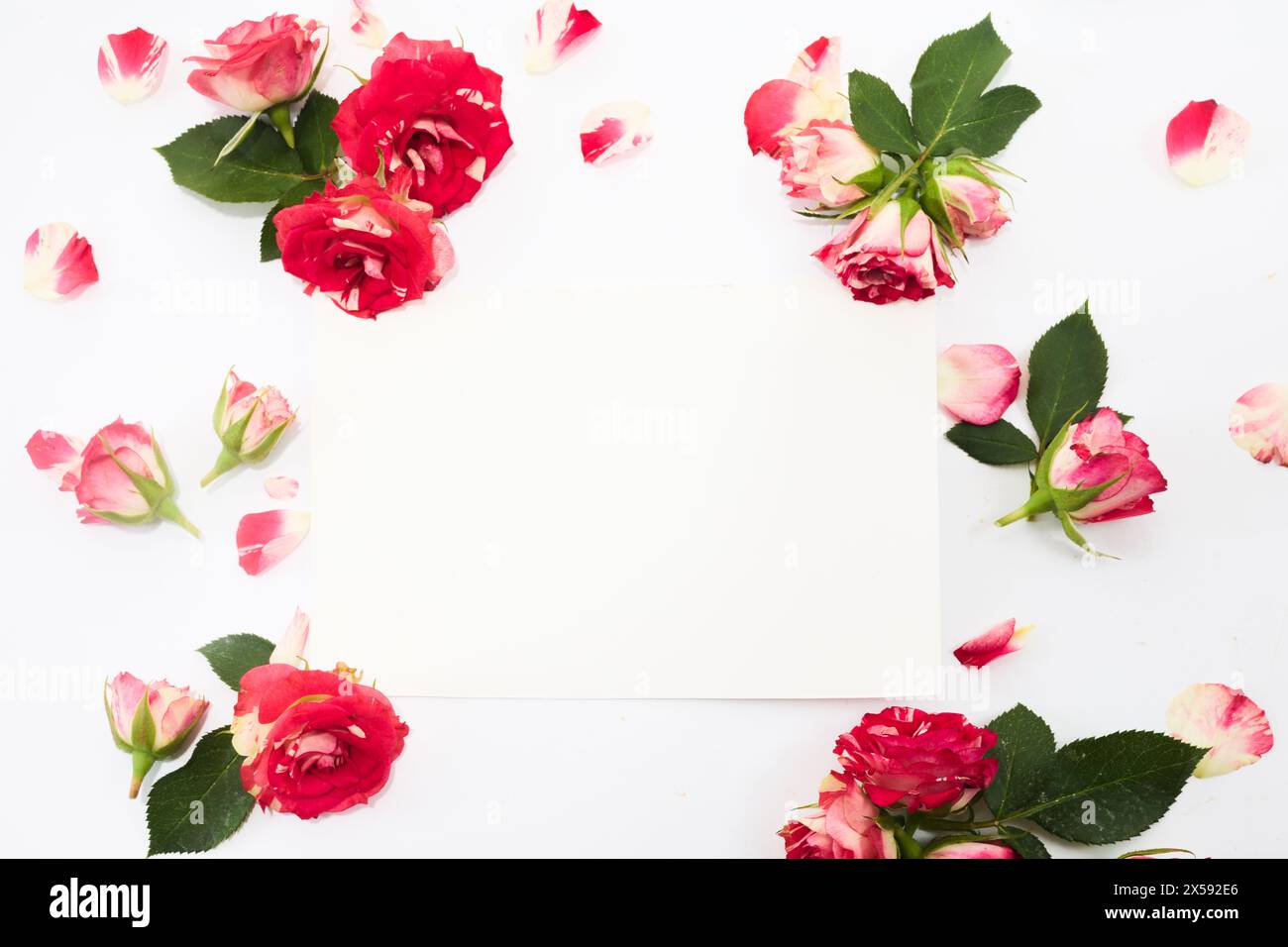 Romantica cornice floreale con spazio vuoto Foto Stock