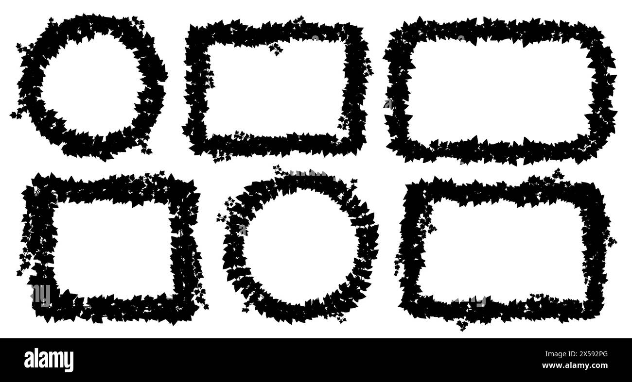 Cornici in edera di profili liana, foglie di vite e bordi di piante superriduttore, sfondo vettoriale. L'edera lascia cornici di rami di fogliame rampicanti, hedera o vite d'uva e bordi arrotondati e quadrati Illustrazione Vettoriale