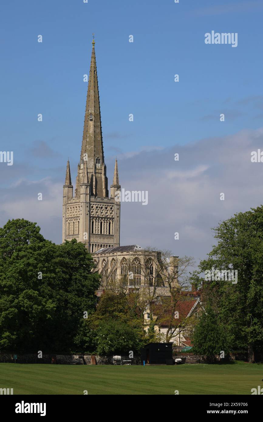 La Guglia e la Torre della Cattedrale di Norwich, Norwich, Norfolk, Inghilterra, Regno Unito Foto Stock