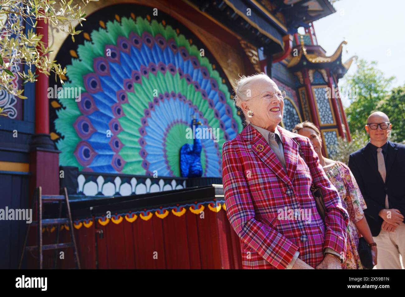 Copenaghen, Danimarca. 8 maggio 2024. Denmarks Queen Margrethe svela la nuova tenda pavone al Pantomime Theatre di Tivoli, Copenaghen, Danimarca, mercoledì 8 maggio 2024. La camera Queen ha disegnato la tenda di 32 m2. Il Teatro Pantomime ha 150 anni ed è stato costruito nel 1874 su progetto degli architetti Vilhelm Dahlerup e ove Petersen, nello stesso momento in cui la coppia di architetti ha completato il Teatro reale. Crediti: Ritzau/Alamy Live News Foto Stock