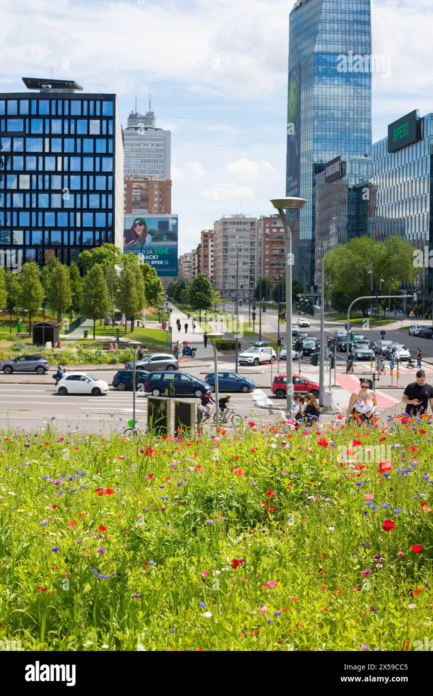 Milano, Lombardia, Italia - 5 MAGGIO 2024: Prato di fiori selvatici nell'ambiente urbano a sostegno dell'ecologia, del clima e della biodiversità. Foto Stock