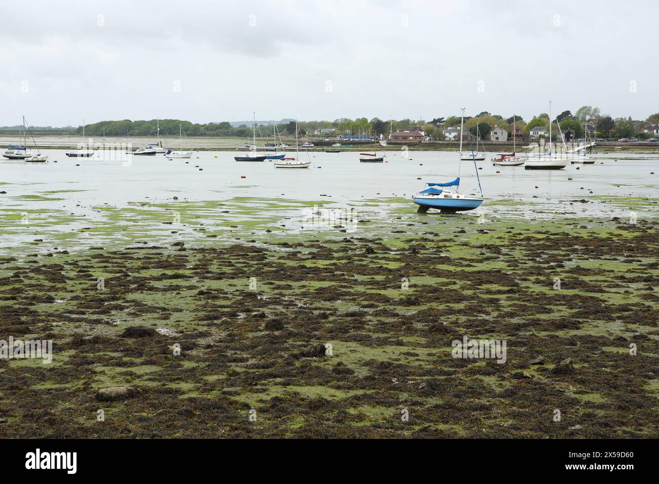 La costa di Emsworth Chichester Harbour Hampshire, Regno Unito, marea bassa con barche su fango e alghe marine Foto Stock