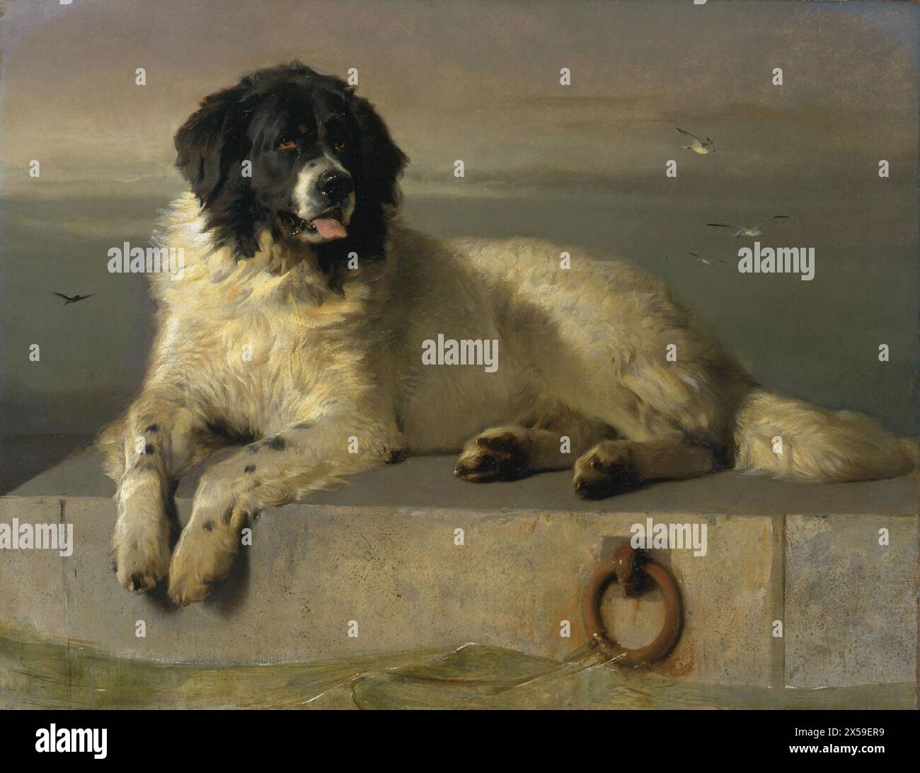 Un membro distinto della Humane Society espose 1838 Sir Edwin Henry Landseer 1802-1873 lasciato in eredità da Newman Smith 188 Foto Stock