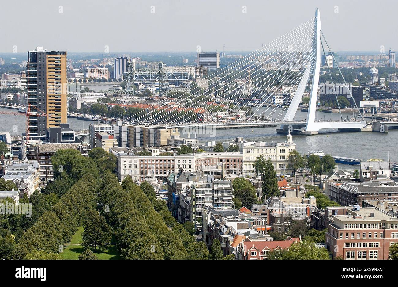 Ponte Erasmus su Nieuwe Maas fiume. Rotterdam. Paesi Bassi Foto Stock