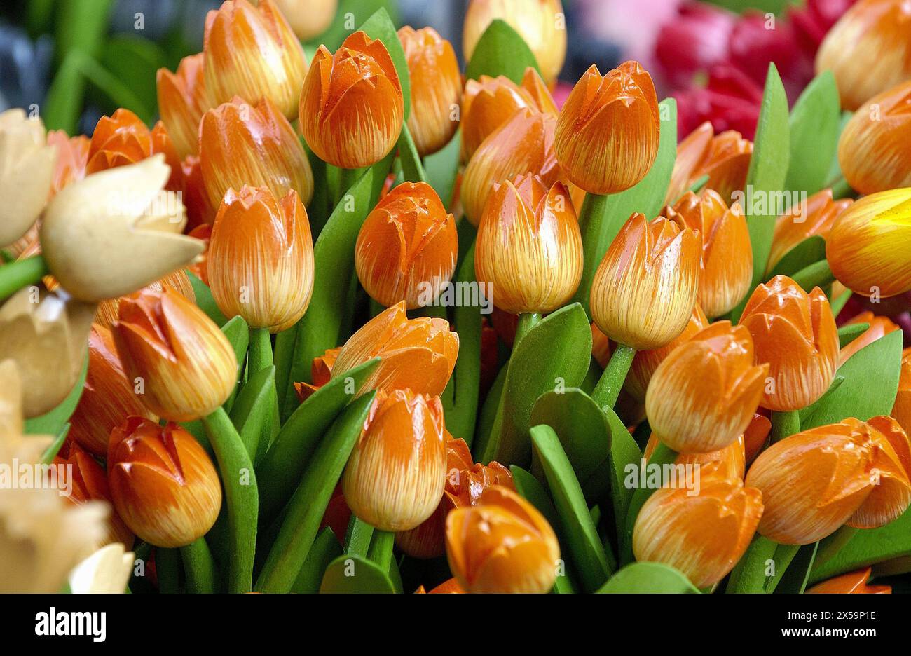 Negozio di souvenir al Bloemenmarkt (floating flower market) sul canale Singel. Amsterdam. Paesi Bassi Foto Stock