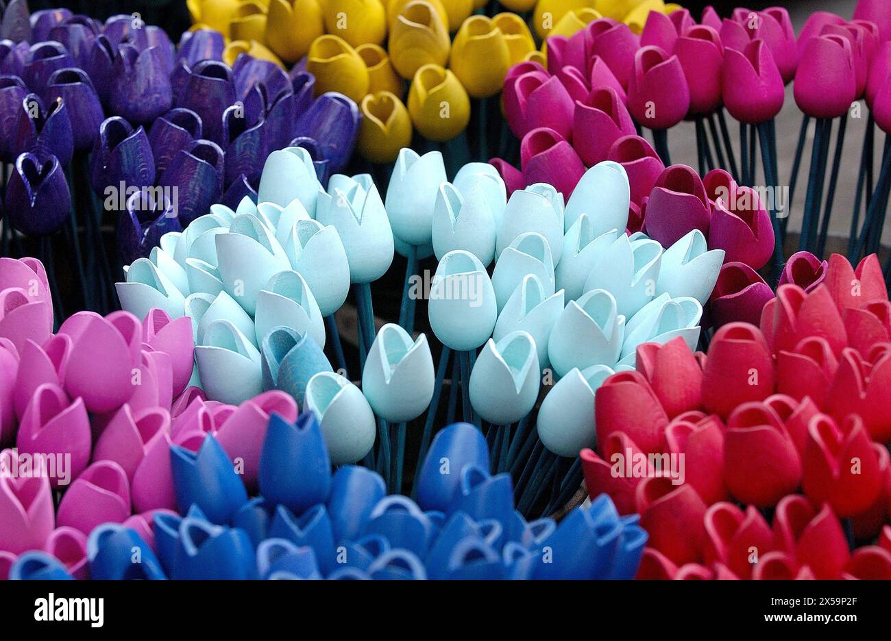 Negozio di souvenir al Bloemenmarkt (floating flower market) sul canale Singel. Amsterdam. Paesi Bassi Foto Stock