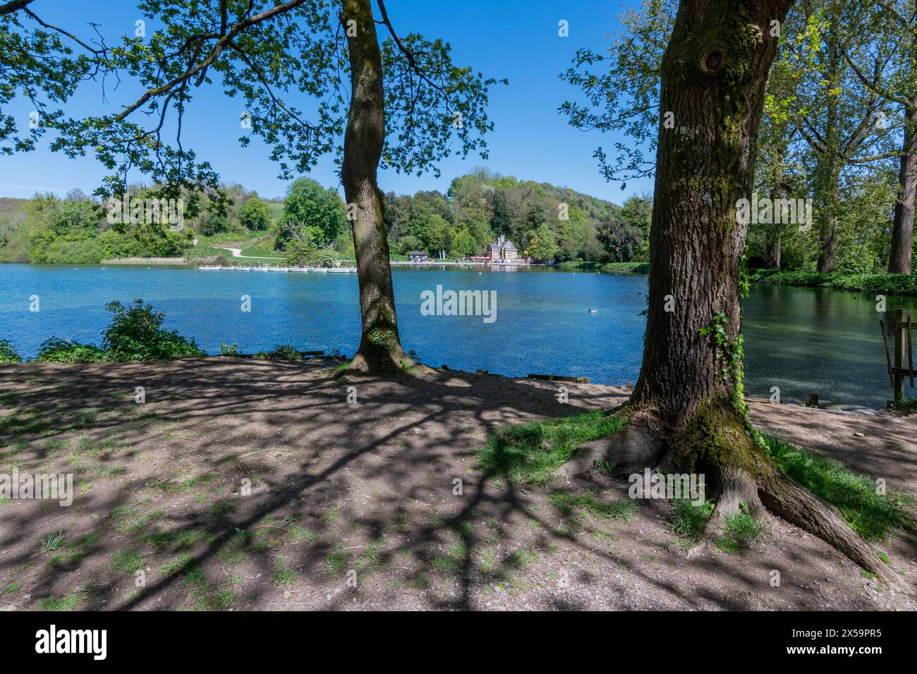 Lago Swanbourne con Swanbourne Lodge Tearoom - Arundel, West Sussex, Regno Unito. Foto Stock