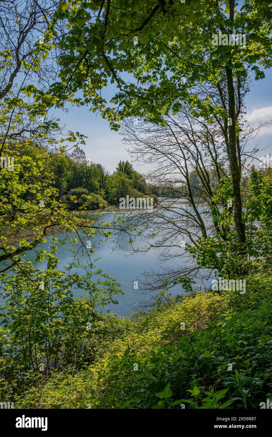 Il pittoresco e tranquillo lago Swanbourne, Arundel, West Sussex, Regno Unito. Foto Stock