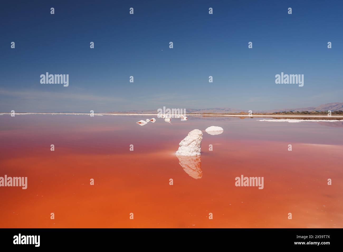 Splendido paesaggio del lago rosa ad Alviso, California Foto Stock