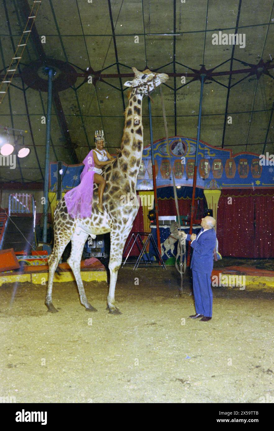 Circo, giraffa con pilota femminile Foto Stock